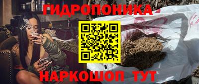 тгк Новокубанск